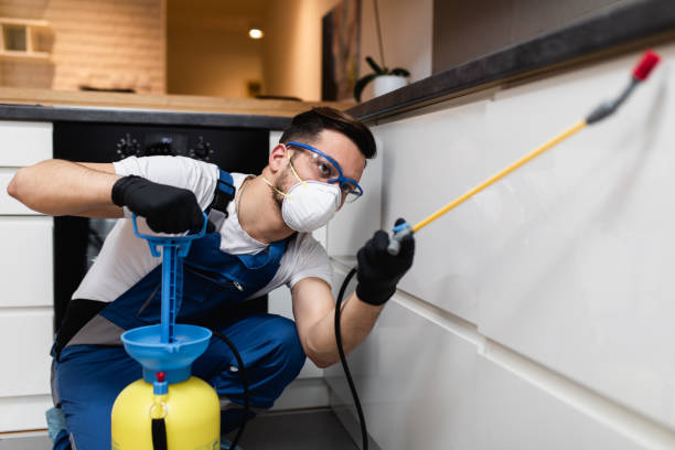 Wasp Removal Services in Spanaway, WA