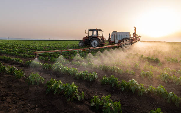 Best Pest Prevention Services  in Spanay, WA