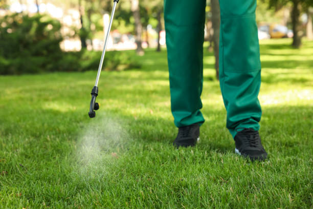 Best Exterminator Services  in Spanay, WA
