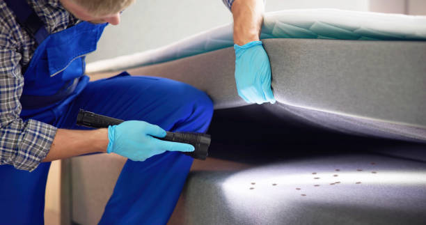 Best Affordable Pest Control Services  in Spanay, WA
