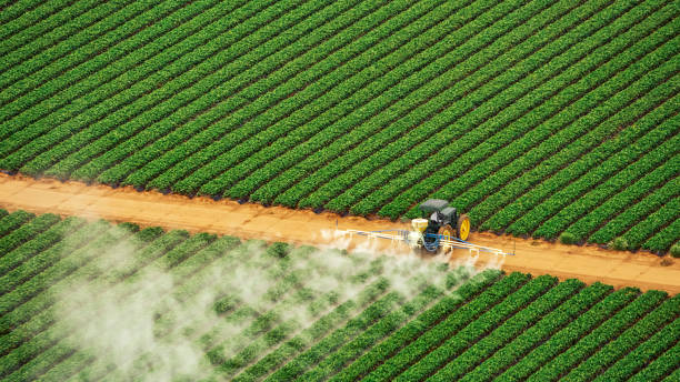 Best Best Pest Control Companies  in Spanay, WA