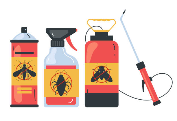 Best Bed Bug Extermination  in Spanay, WA