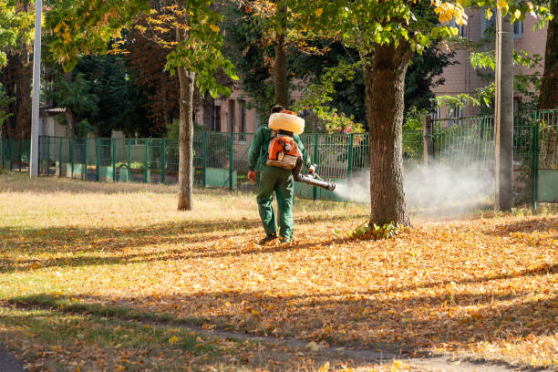 Best Local Pest Control Services  in Spanay, WA
