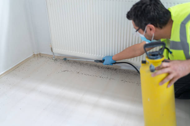 Best Pest Removal Services  in Spanay, WA