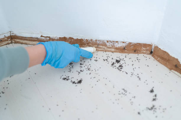 Spanaway, WA Pest Control Company