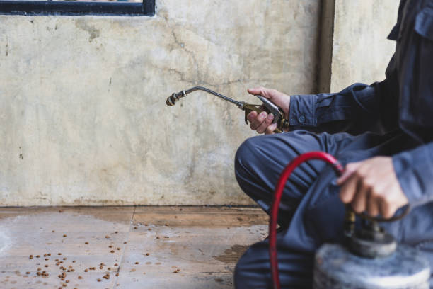 Best Mosquito Control Services  in Spanay, WA